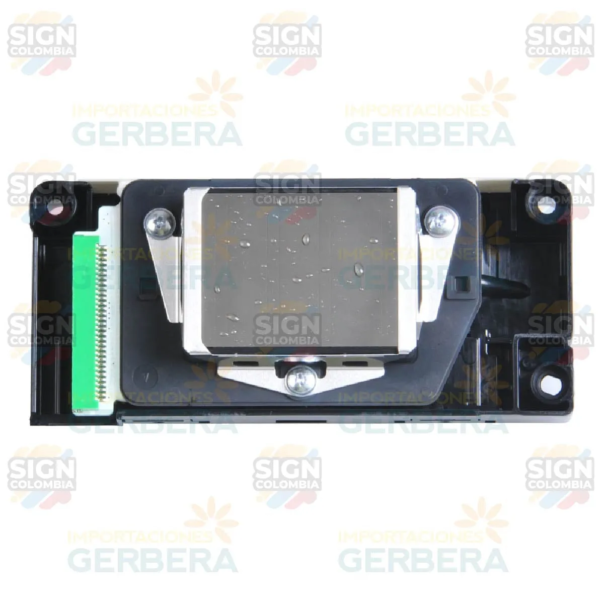 Cabezal Mutoh  (DX5)