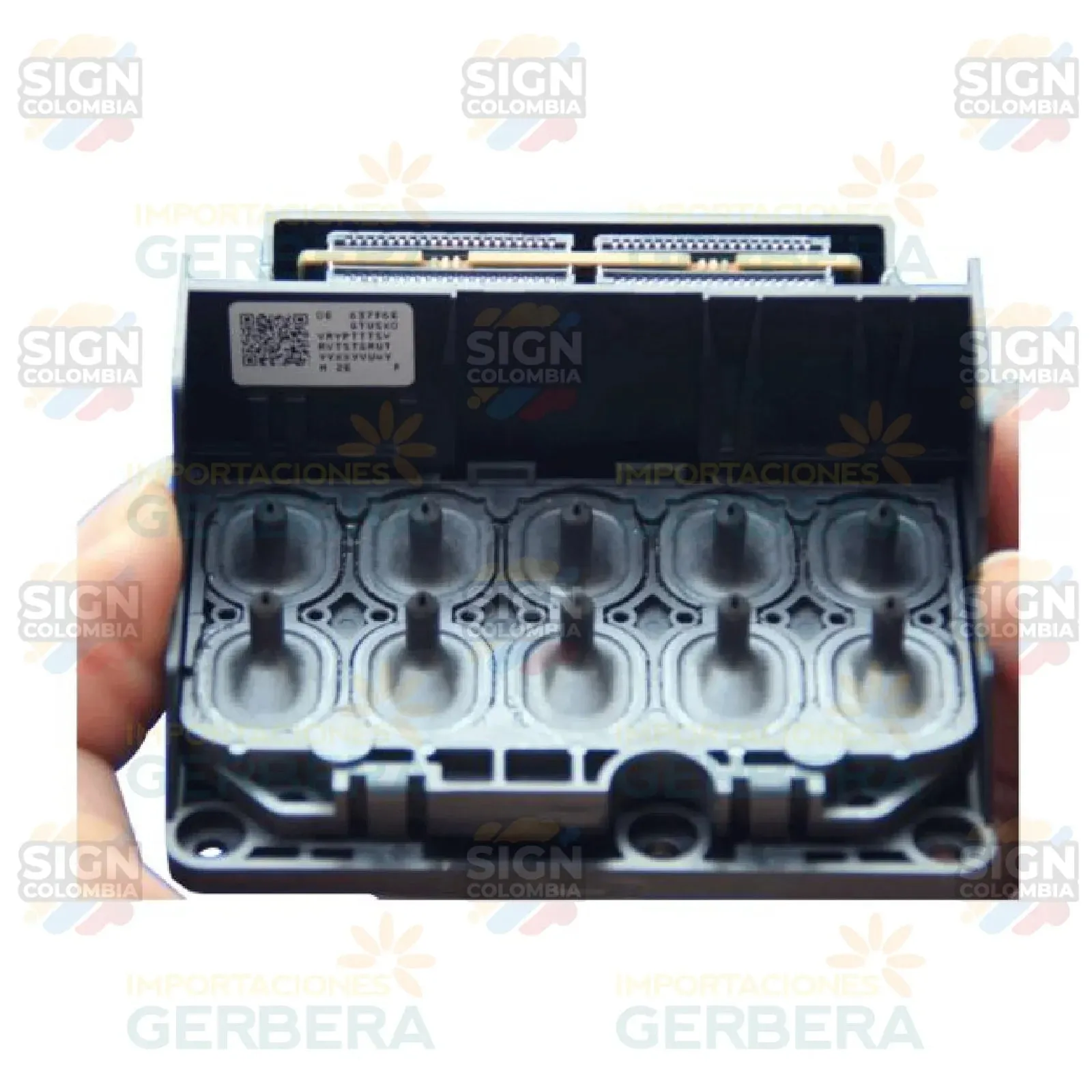 Cabezal Epson PRO 11880 / 11880C - F179000 / F179010 / F179020 / F179030